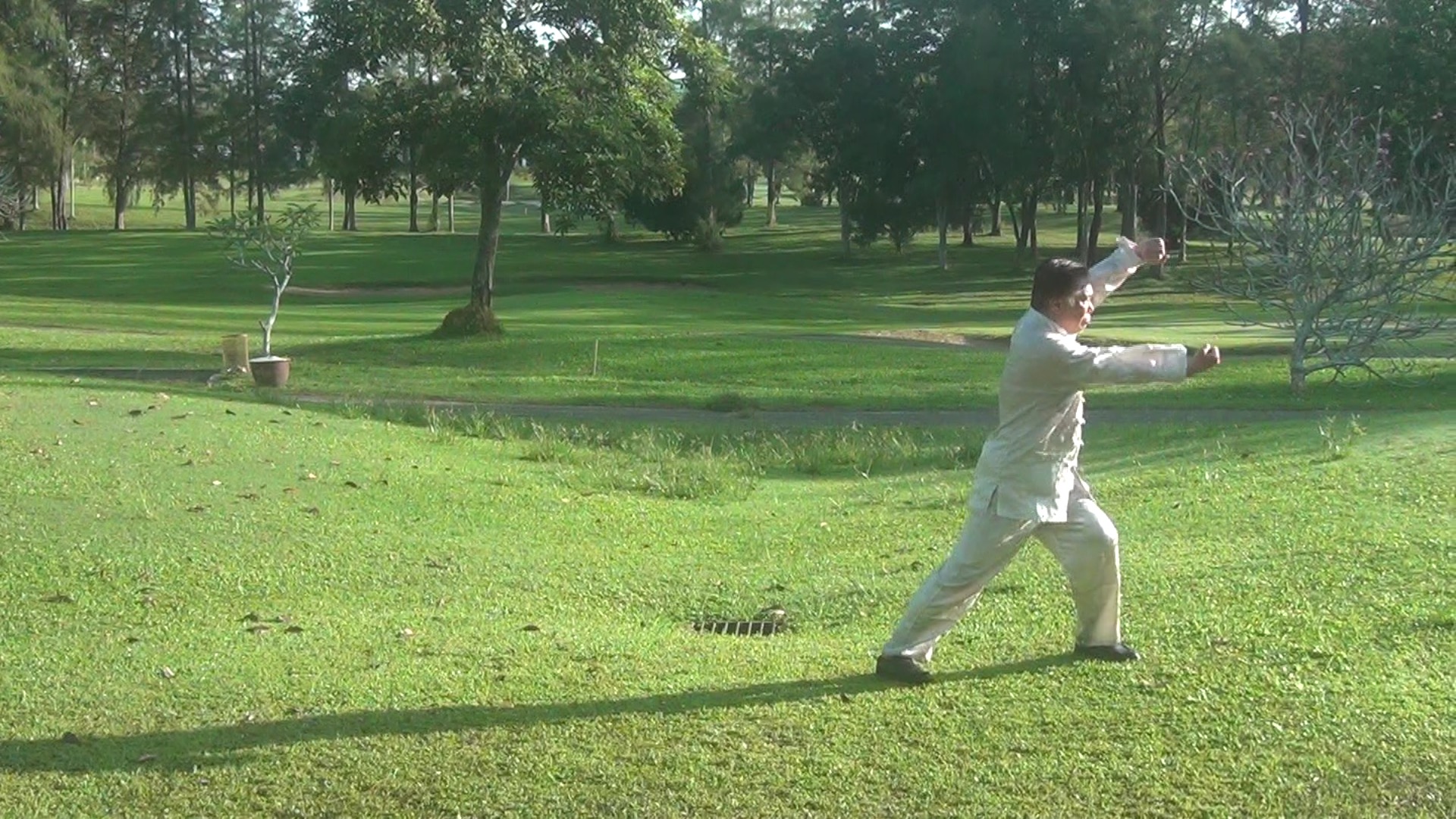 Crushing Fist of Praying Mantis Kungfu in Pictures